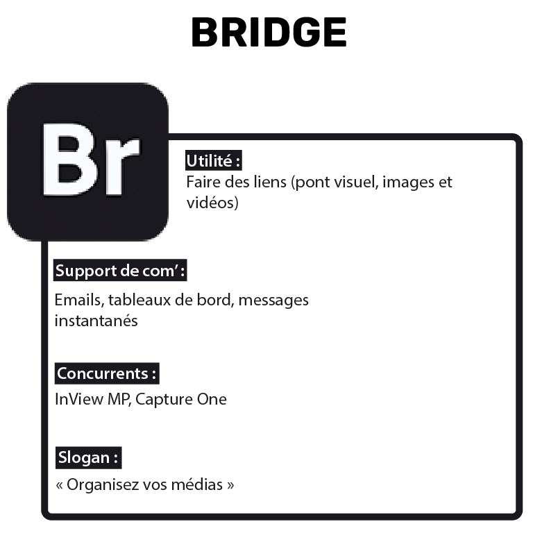 Suite-Adobe-RS.6_Bridge