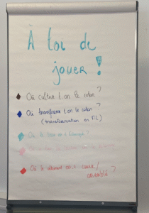 Questions pour l'animation